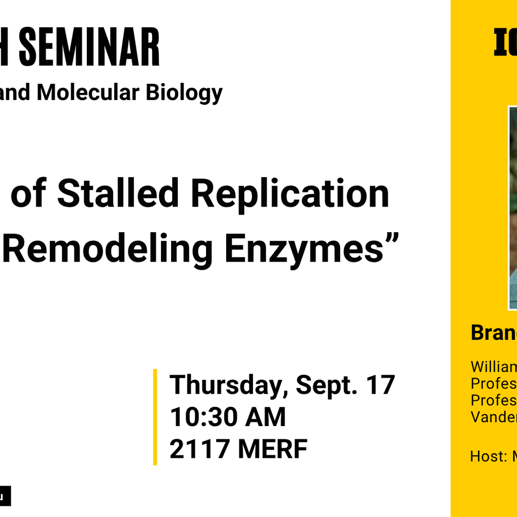 Biochemistry Seminar: "Repair of Stalled Replication by DNA Remodeling Enzymes" promotional image