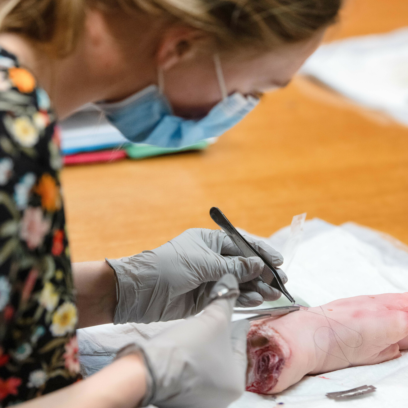 Close-up of suturing session on pigs feet