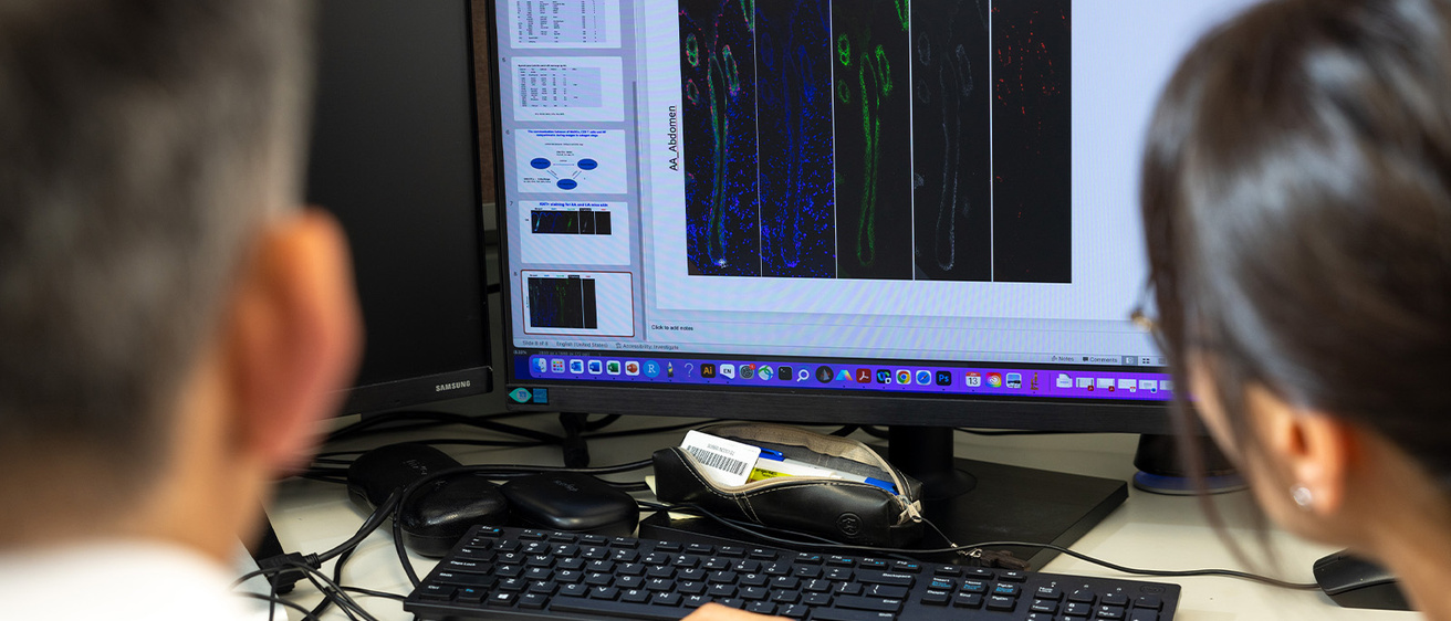 Two scientists examine data on a computer